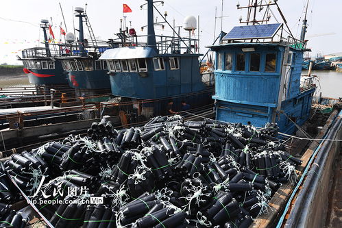 山东青岛 加紧渔船维护 备战海上开渔生产
